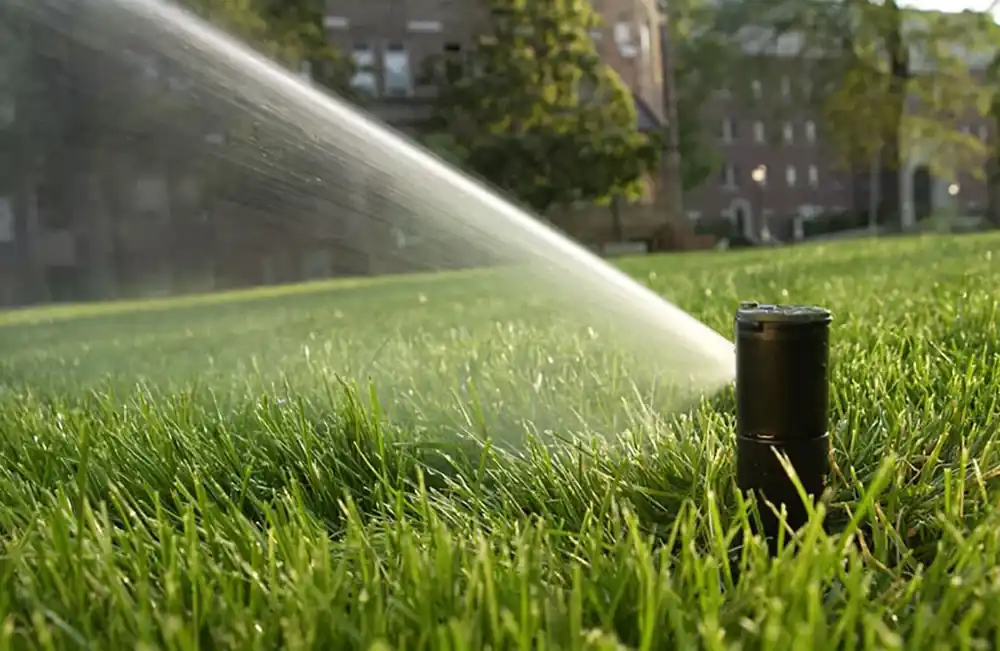 Rainbird Bevattningssystem Billigare