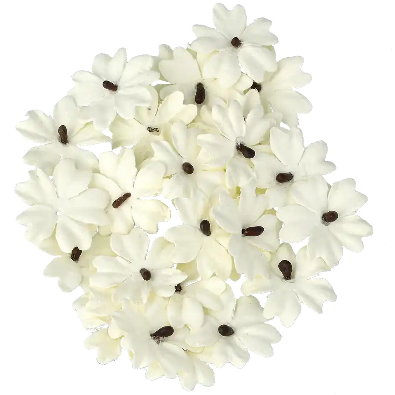 Blommor, pastell Populär