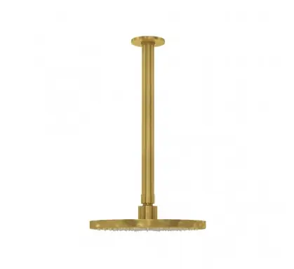Waterevolution Flow huvuddusch 250 mm med takanslutning i borstat mässing T164225LE Snabb frakt