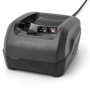 Sista chansen Batteriladdare QC250