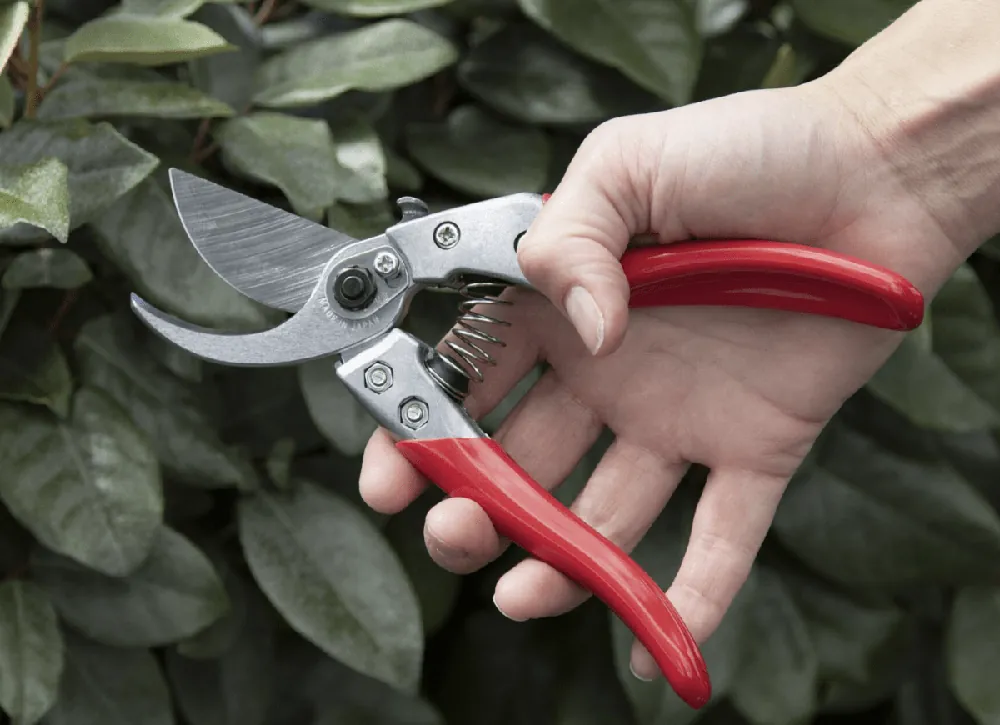 Trygg betalning ARS Pro VS-8XZ Sekatör